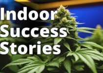 The Ultimate Guide To Growing Feminized Marijuana Seeds Indoors