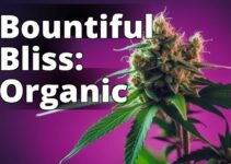 The Definitive Guide To Organic Feminized Marijuana Seeds