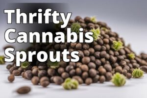 Affordable Germinating Marijuana Seeds Online: Your Buying Blueprint