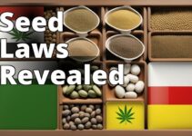 The Ultimate Guide To Legally Buying Marijuana Seeds Online