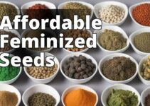 Save Big On Feminized Marijuana Seeds: Your Ultimate Usa Buying Guide