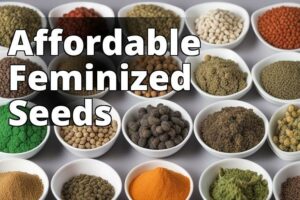 Save Big On Feminized Marijuana Seeds: Your Ultimate Usa Buying Guide