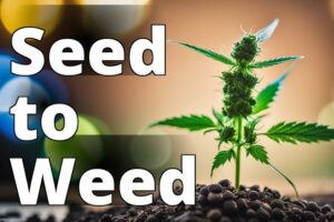 Your Guide To Legally Purchasing Cannabis Seeds In The United States