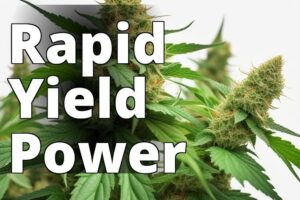 Unleash The Power: Fast-Growing Feminized Marijuana Seeds For High-Yield Harvests
