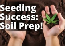 Unlock Your Green Thumb: Soil Preparation For Marijuana Seed Germination