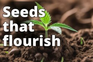 Unlocking The Secrets: Where To Buy High Germination Rate Marijuana Seeds