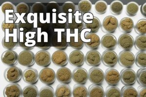 The Ultimate Handbook For High Thc Feminized Marijuana Seeds