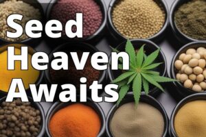 Unlocking Savings: Where To Find Affordable Feminized Marijuana Seeds In The Usa