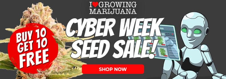 Cyber Week Seed Sale