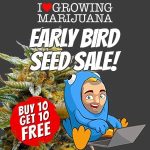 Early Bird Seed Sale