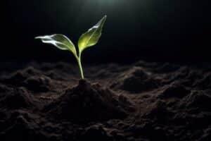 15 Key Reasons Dark Phases Boost Seed Germination